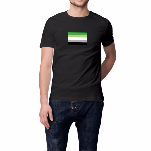 T-shirt aux couleurs du drapeau aromantique
